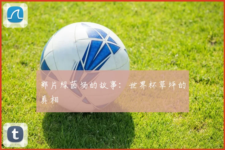 那片绿茵场的故事：世界杯草坪的真相